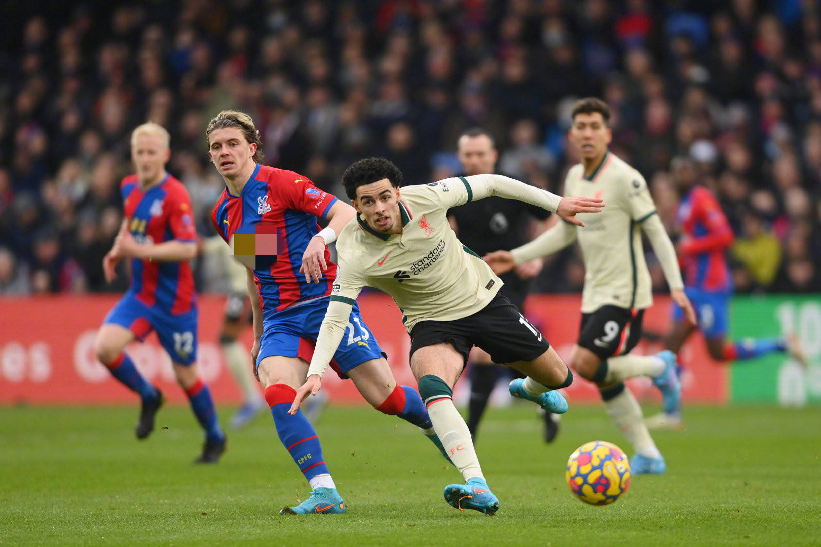 技巧高超的 技巧高超的