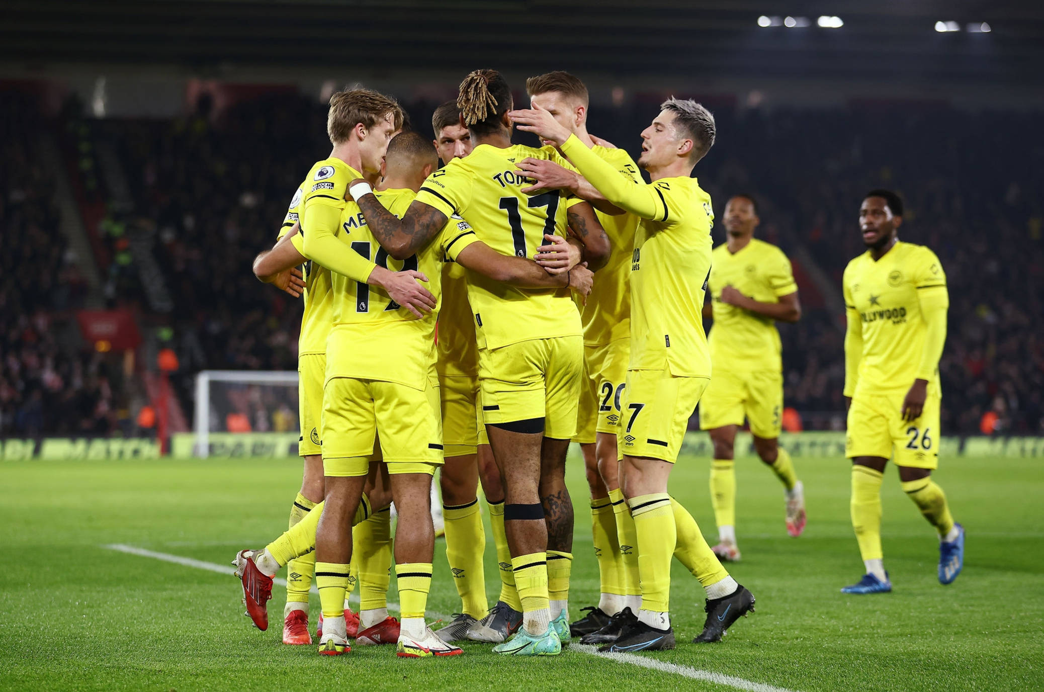 近年来致力 近年来致力